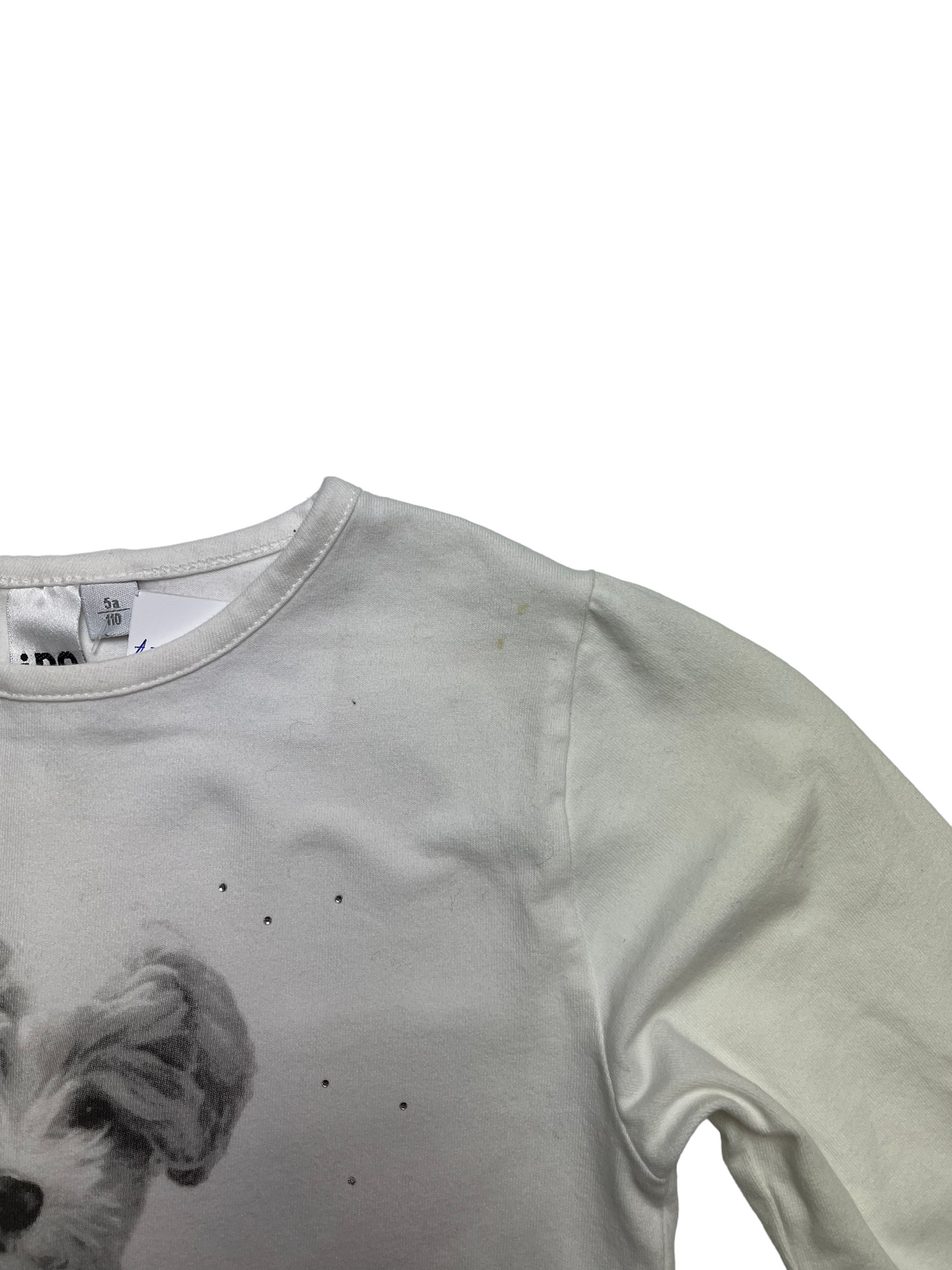 Bluza