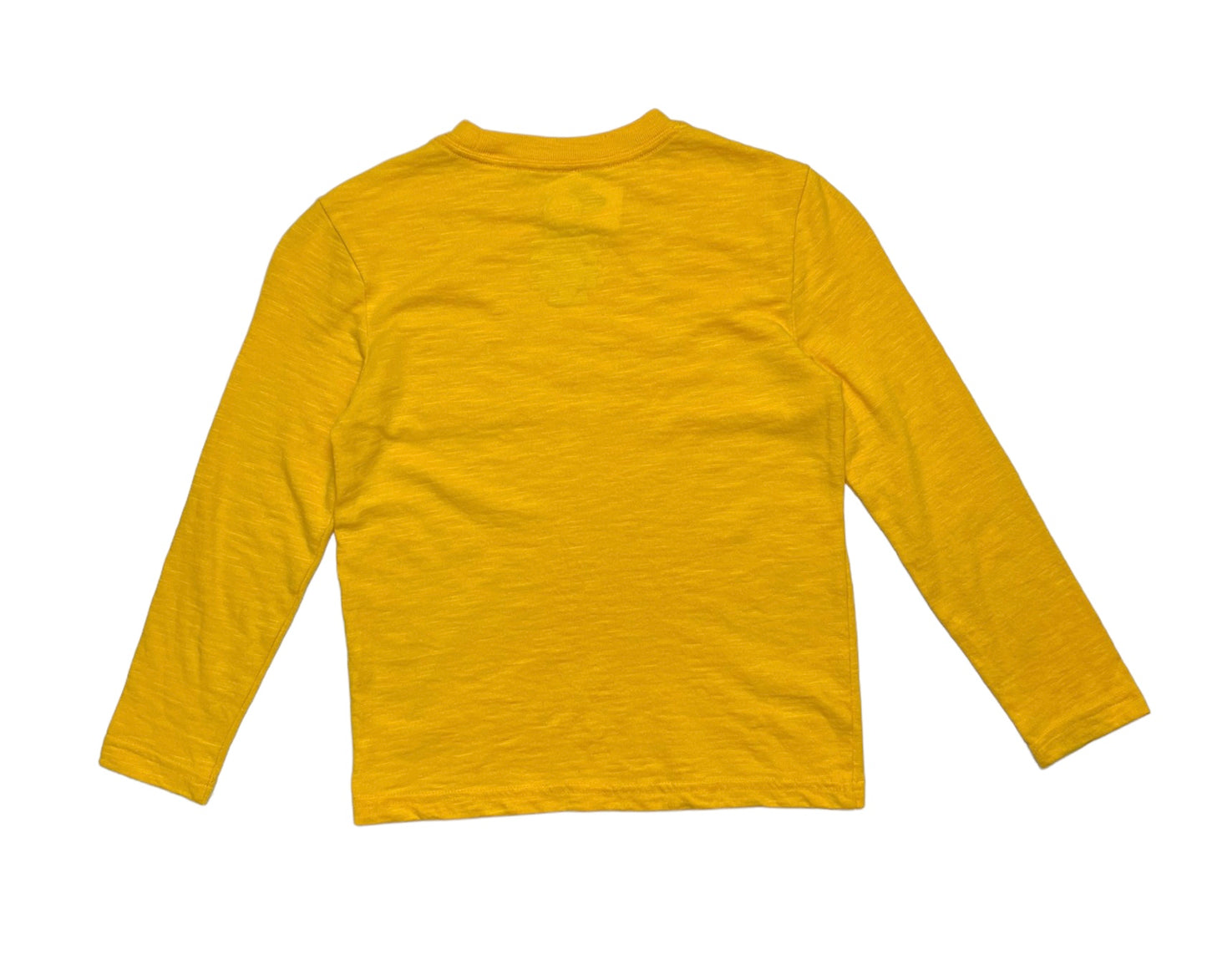 Bluza