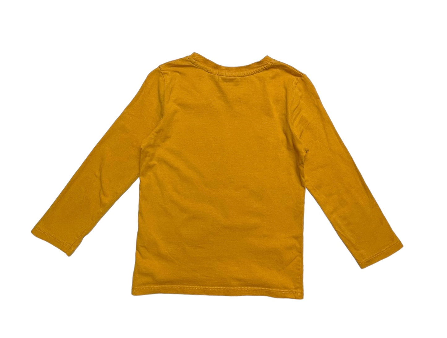 Bluza
