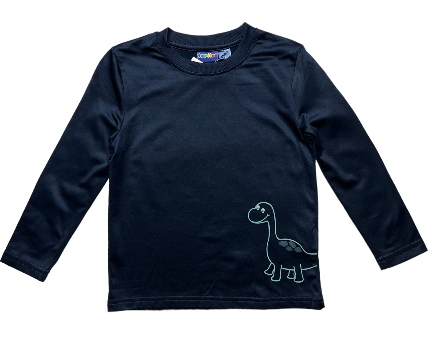 Bluza