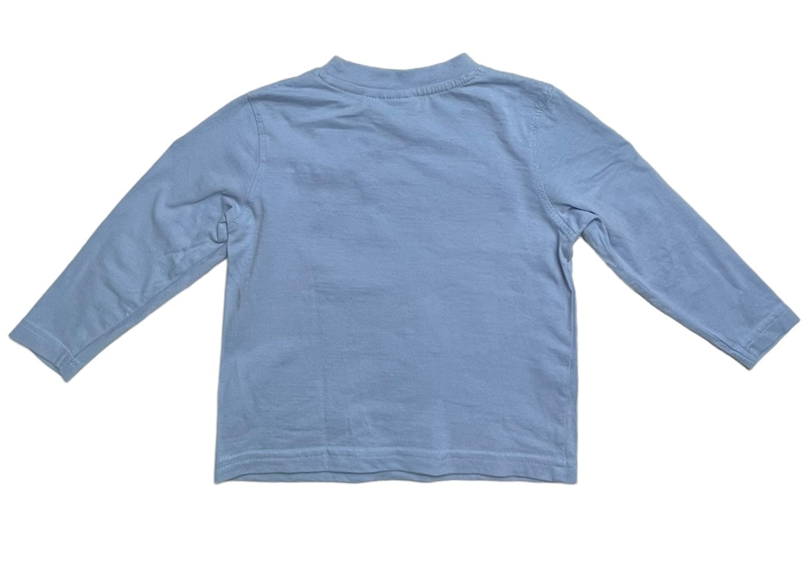 Bluza